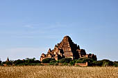 Bagan Myanmar. The Dhammayangyi. 